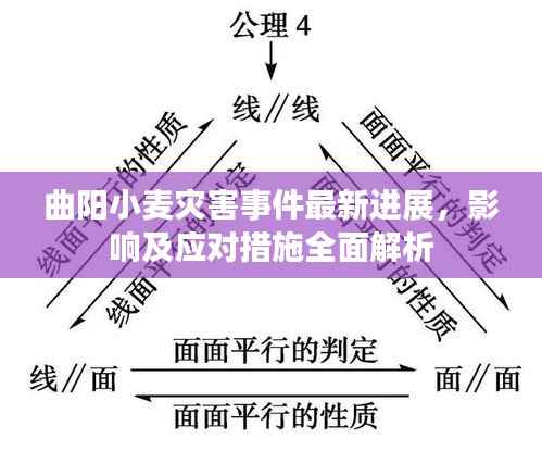 曲阳小麦灾害事件最新进展,影响及应对措施全面解析