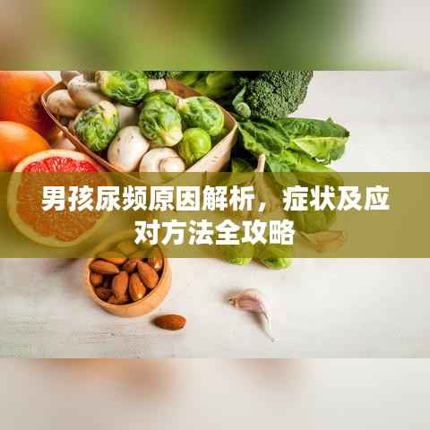 男孩尿频原因解析,症状及应对方法全攻略