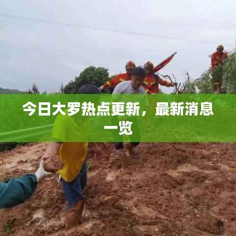 今日大罗热点更新,最新消息一览