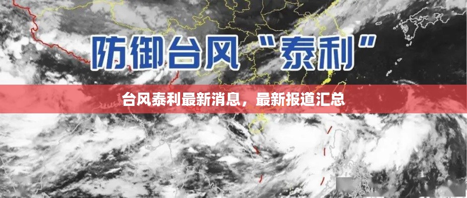 台风泰利最新消息,最新报道汇总