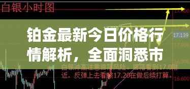 铂金最新今日价格行情解析,全面洞悉市场走势!