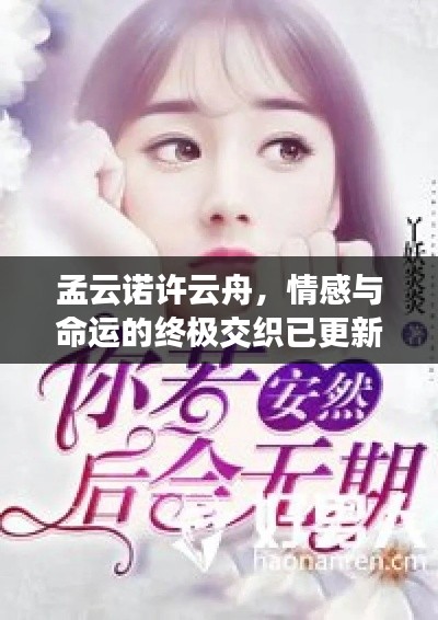 孟云诺许云舟,情感与命运的终极交织已更新章节