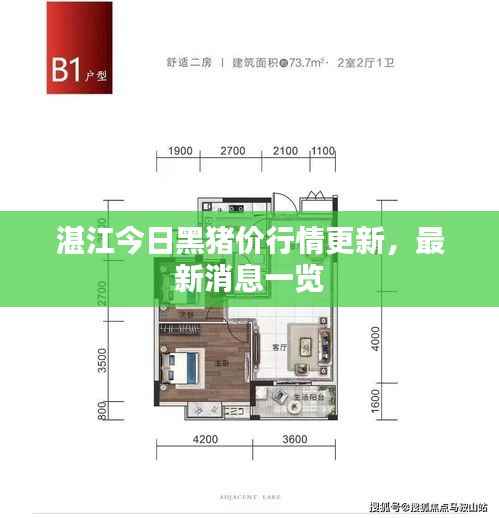 湛江今日黑猪价行情更新,最新消息一览