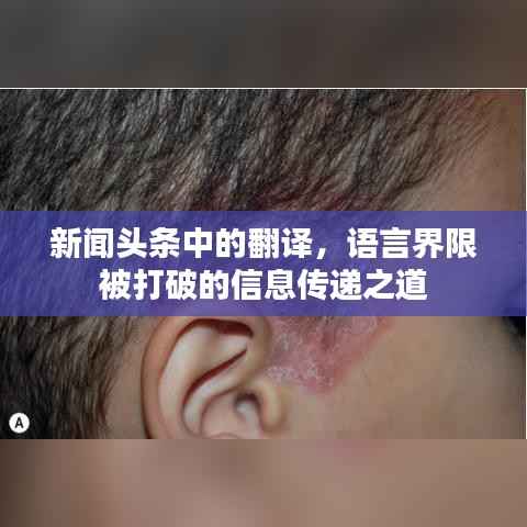 新闻头条中的翻译,语言界限被打破的信息传递之道