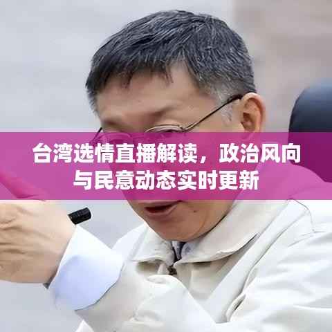 台湾选情直播解读,政治风向与民意动态实时更新