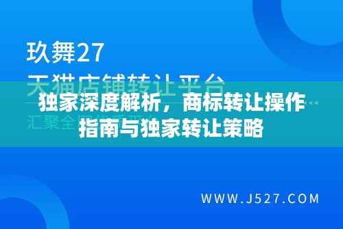 独家深度解析,商标转让操作指南与独家转让策略