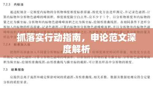 抓落实行动指南,申论范文深度解析