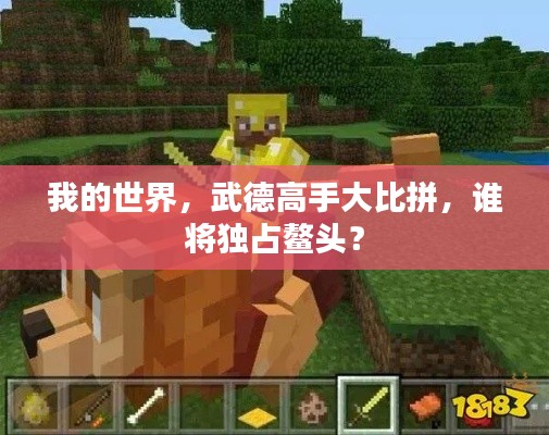 我的世界,武德高手大比拼,谁将独占鳌头?