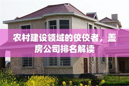农村建设领域的佼佼者,盖房公司排名解读