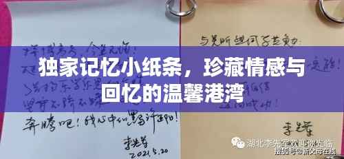 独家记忆小纸条,珍藏情感与回忆的温馨港湾