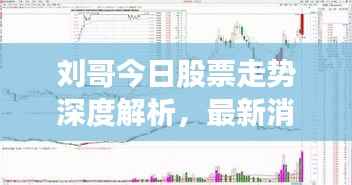 刘哥今日股票走势深度解析,最新消息一网打尽!