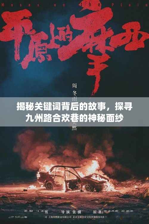 揭秘关键词背后的故事，探寻九州路合欢巷的神秘面纱
