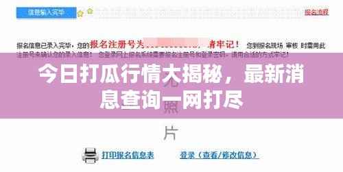 今日打瓜行情大揭秘,最新消息查询一网打尽