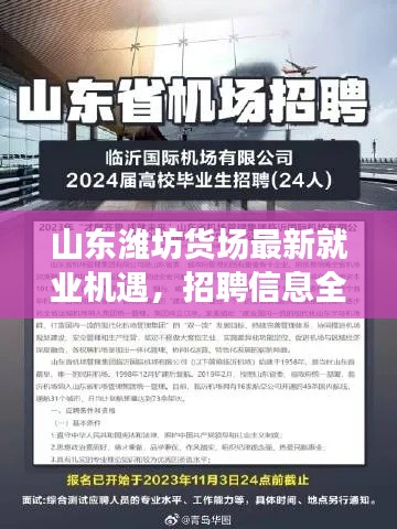 山东潍坊货场最新就业机遇,招聘信息全解析