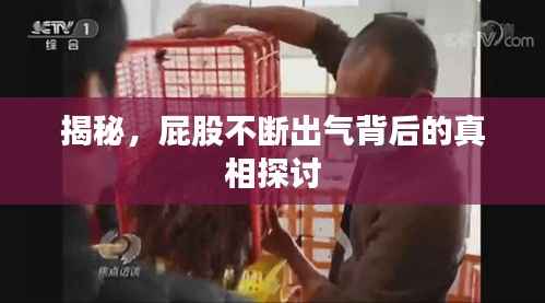 揭秘，屁股不断出气背后的真相探讨