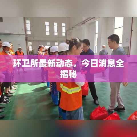 环卫所最新动态，今日消息全揭秘