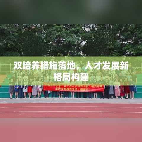 双培养措施落地,人才发展新格局构建