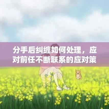 分手后纠缠如何处理,应对前任不断联系的应对策略