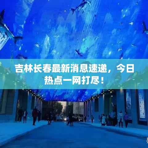 吉林长春最新消息速递,今日热点一网打尽!