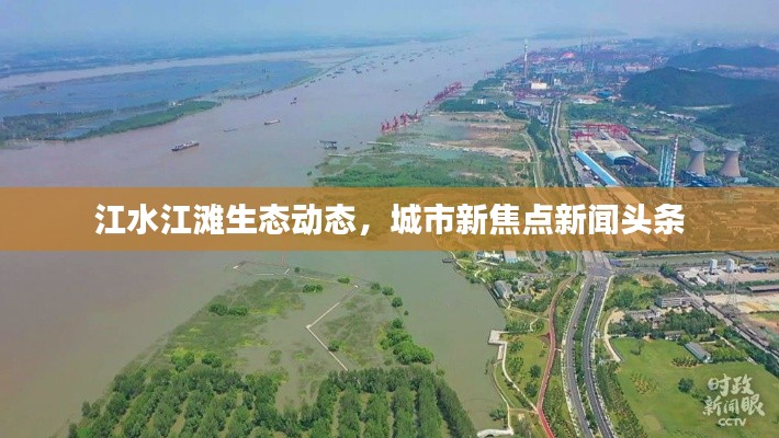 江水江滩生态动态,城市新焦点新闻头条