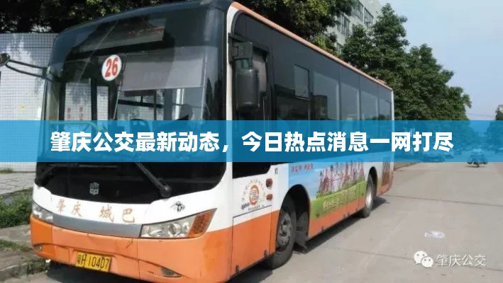 肇庆公交最新动态,今日热点消息一网打尽