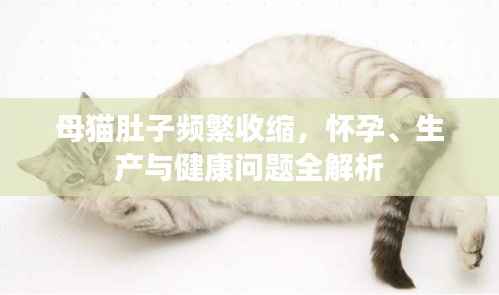 贵卖贱买