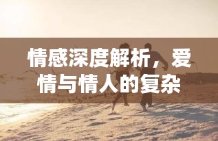 情感深度解析,爱情与情人的复杂与美好探索