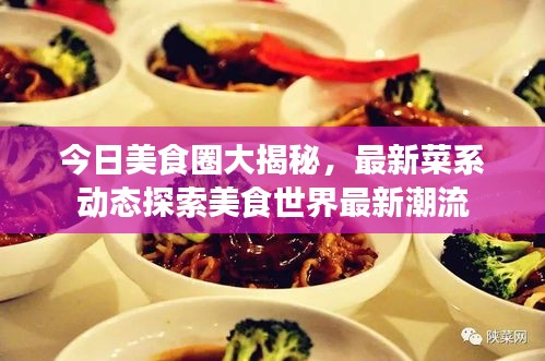 今日美食圈大揭秘,最新菜系动态探索美食世界最新潮流