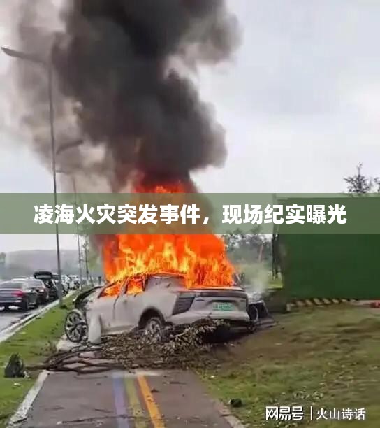 凌海火灾突发事件,现场纪实曝光