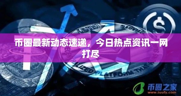 币圈最新动态速递,今日热点资讯一网打尽