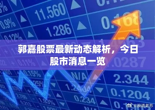 郭嘉股票最新动态解析,今日股市消息一览