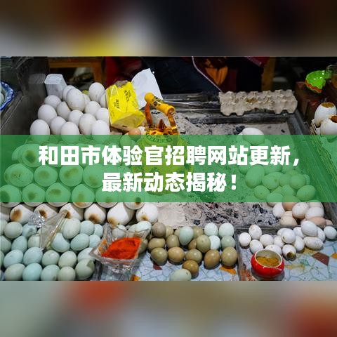 和田市体验官招聘网站更新,最新动态揭秘!