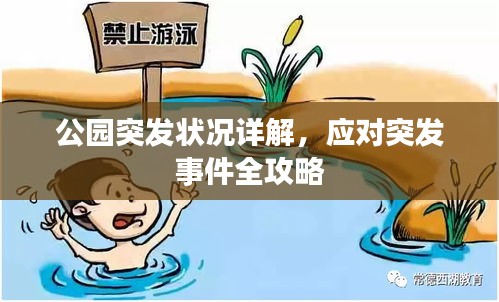 公园突发状况详解,应对突发事件全攻略