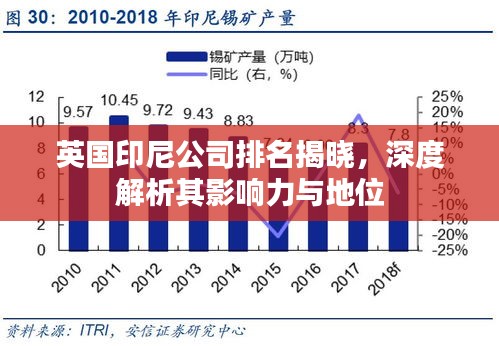 英国印尼公司排名揭晓,深度解析其影响力与地位