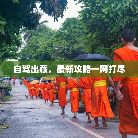 自驾出藏,最新攻略一网打尽