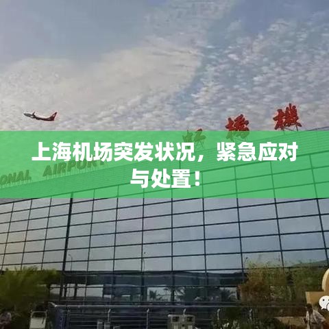 上海机场突发状况,紧急应对与处置!