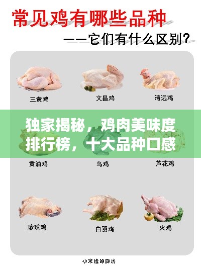 独家揭秘,鸡肉美味度排行榜,十大品种口感大比拼!