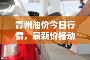 青州油价今日行情,最新价格动态!