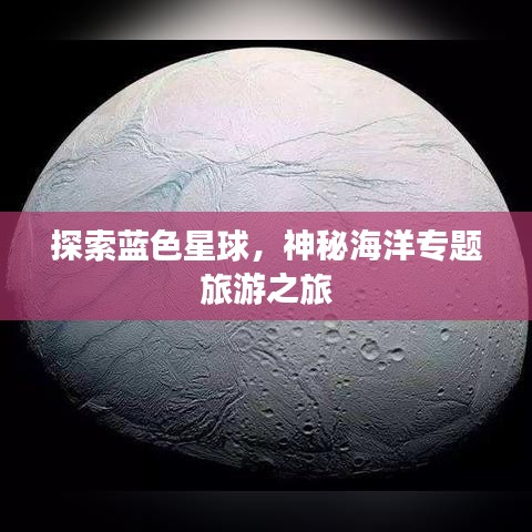 探索蓝色星球，神秘海洋专题旅游之旅